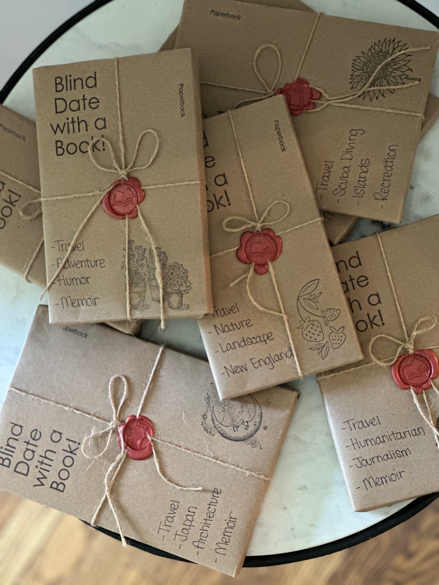 Blind Date With a Book: Travel Themed