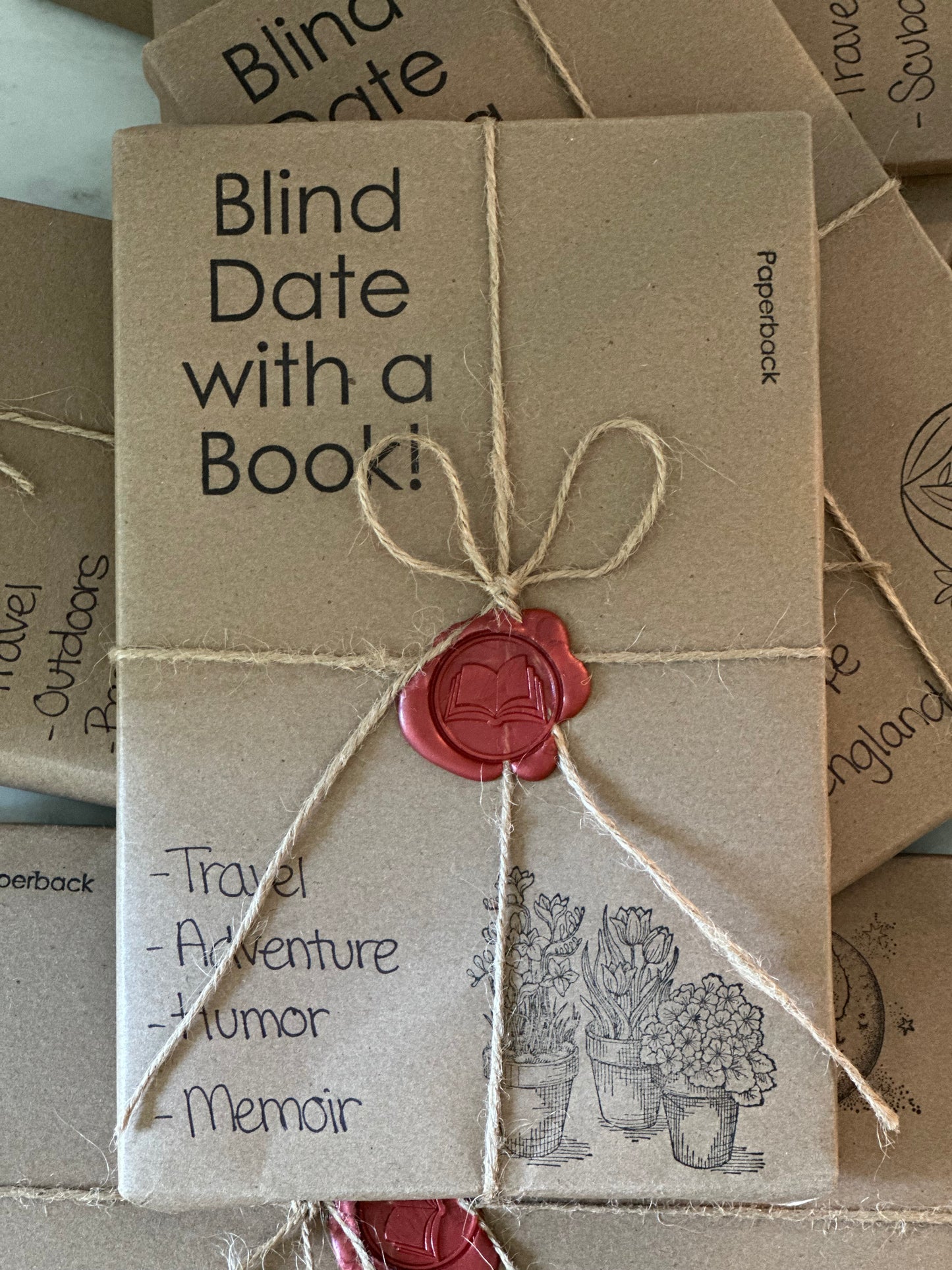 Blind Date With a Book: Travel Themed