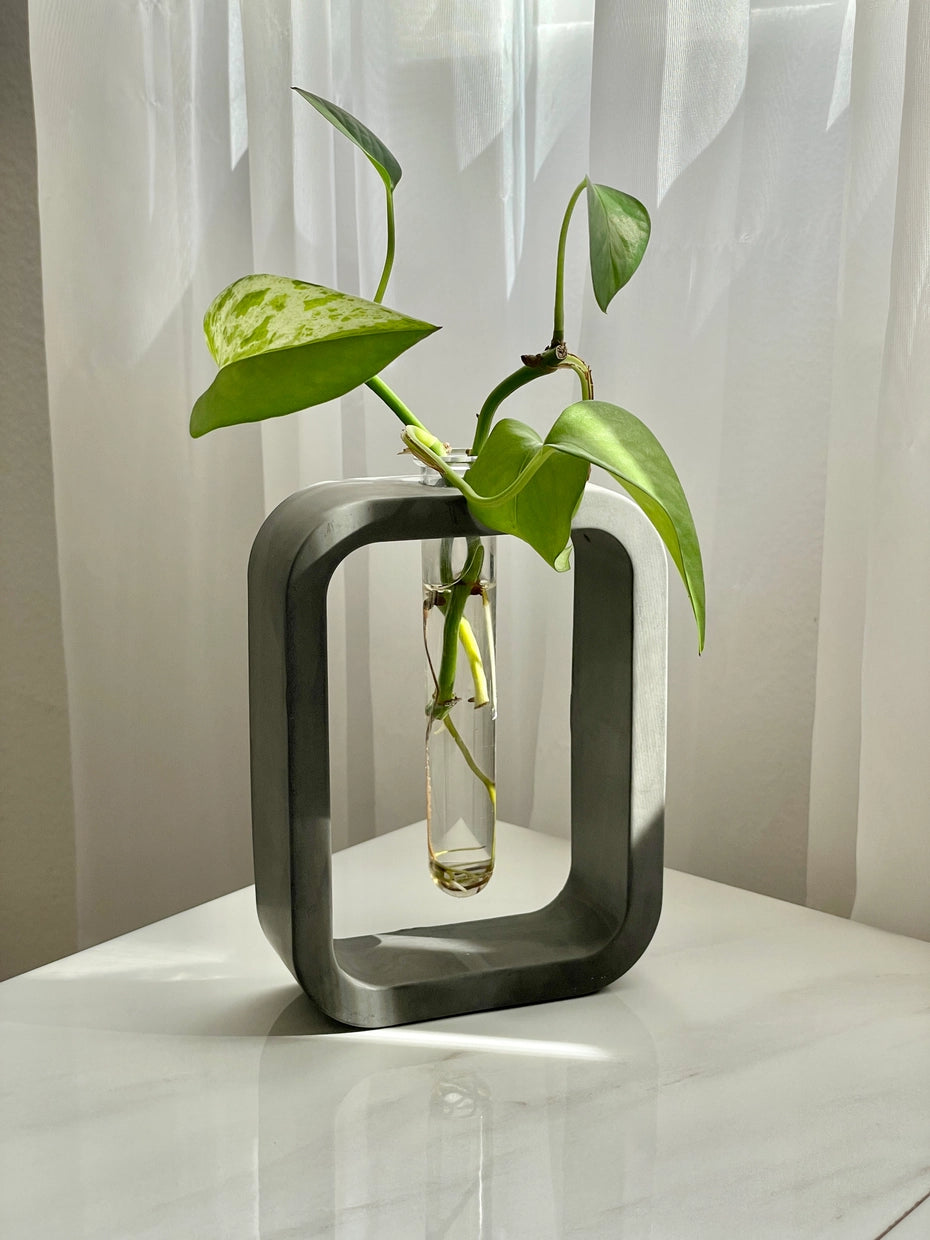 Plant Propagation Station/Vase